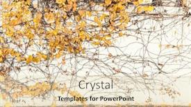  Presentation with bright yellow - Slide deck featuring climbing-ivy-with-partially-fallen background and a lemonade colored foreground