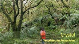  Presentation with taipei - PPT theme consisting of climbing stone stairs taipei taiwan background and a tawny brown colored foreground