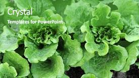  Presentation with salad - Amazing slide deck having climet - salad vegetable backdrop and a shamrock green colored foreground