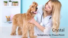  Presentation with female l leader - Presentation consisting of clinical health - beautiful young female veterinarian examining background and a coral colored foreground