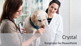  Presentation with hospital - Presentation theme featuring clinical nutrition - close-up of a woman feeding background and a light gray colored foreground