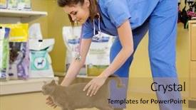  Presentation with weight - Presentation theme having clinical nutrition - veterinarian putting cat background and a coral colored foreground