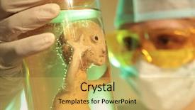  Presentation with medical embryo - Slides featuring cloned embryos in a test background and a yellow colored foreground