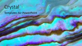  Presentation with sea shell - Cool new slides with abstract greay clor - macro of sea shell backdrop and a light blue colored foreground