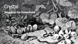  Presentation with engraving - Colorful presentation enhanced with clos from picture by doer backdrop and a  colored foreground