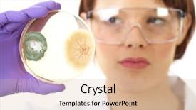  Presentation with petri dish - PPT theme consisting of woman celebrating christmas dinner with her family against snow falling background and a gray colored foreground