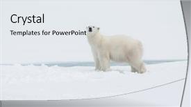  Presentation with north pole - Cool new presentation theme with close to the north pole backdrop and a sky blue colored foreground