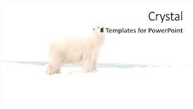  Presentation with north pole - Slides having close to the north pole background and a white colored foreground