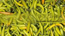  Presentation with green - Presentation design featuring close-up-a-heap background and a gold colored foreground