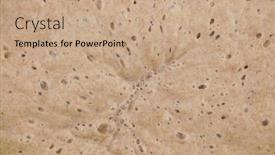  Presentation with fermentation - Beautiful slide deck featuring close-up-active-fermentation backdrop and a coral colored foreground