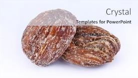  Presentation with focus - Presentation design having close-up-and-selective-focus background and a sky blue colored foreground