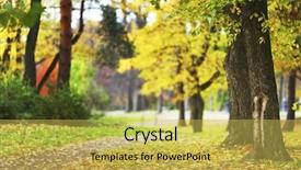  Presentation with trees - Beautiful PPT theme featuring close up autumn trees backdrop and a  colored foreground