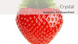  Presentation with perfect - Audience pleasing slide set consisting of close-up-berry-on-white backdrop and a light gray colored foreground