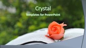  Presentation with book - Slide deck with close-up-book-and-rose background and a tawny brown colored foreground