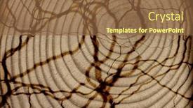  Presentation with crack - Theme enhanced with close-up crack wooden cut texture background and a tawny brown colored foreground