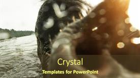  Presentation with swim - Beautiful slide deck featuring close-up-elephant-swim backdrop and a tawny brown colored foreground