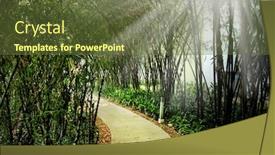  Presentation with public - Slide deck having close up empty footpath in public park and beam of light in bangkok thailand background and a tawny brown colored foreground