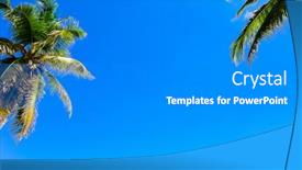  Presentation with jungle - Slides having close-up exotic jungle background and a gray colored foreground