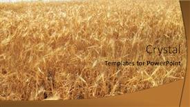  Presentation with flames - Presentation theme enhanced with close-up-fire-flames background and a gold colored foreground