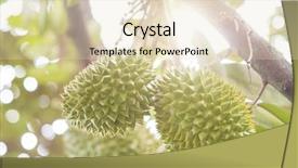  Presentation with tropical fruit - Presentation design with close up fresh tropical fruit background and a lemonade colored foreground