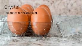  Presentation with plastic container - Presentation with close-up-from-brown-eggs background and a coral colored foreground