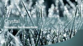  Presentation with ice frozen - Presentation design enhanced with close-up-frozen-ice background and a seafoam green colored foreground