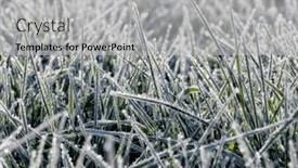  Presentation with ice frozen - Presentation theme having close-up-frozen-ice background and a light gray colored foreground