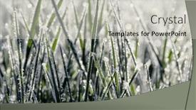  Presentation with winter ice - Presentation with close-up-frozen-ice background and a light gray colored foreground