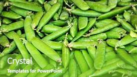  Presentation with bunch of green peas - Amazing slides having close-up green peas pods backdrop and a  colored foreground