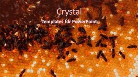  Presentation with honeycomb - Theme with close-up-honeycomb-in-wooden background and a tawny brown colored foreground