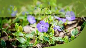  Presentation with microwave imaging image of modern - Cool new PPT theme with close-up-image-of-blooming backdrop and a yellow colored foreground