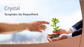  Presentation with sprout - 