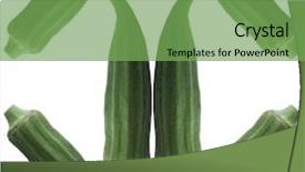  Presentation with okra - PPT theme with close-up image of okra background and a seafoam green colored foreground