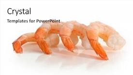 Presentation with shrimps - Presentation theme consisting of close-up-image-of-shrimps background and a white colored foreground