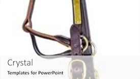  Presentation with white horse - PPT theme featuring close-up-image background and a white colored foreground