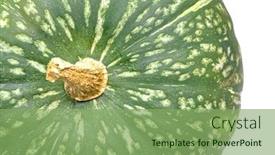  Presentation with japanese - PPT layouts consisting of close-up-japanese-pumpkin background and a seafoam green colored foreground