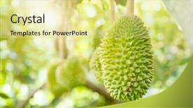  Presentation with fruit tree - Cool new slide set with close up king of fruit backdrop and a blonde colored foreground