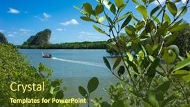  Presentation with tree river - Beautiful slide deck featuring close-up-leaves-of-mangrove backdrop and a tawny brown colored foreground