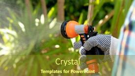  Presentation with social isolation - Beautiful presentation featuring close-up-mid-section-view backdrop and a tawny brown colored foreground