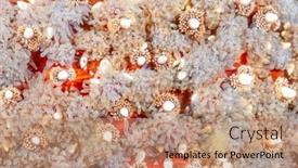  Presentation with sunflower - PPT layouts enhanced with close-up-of-a-beautiful background and a coral colored foreground