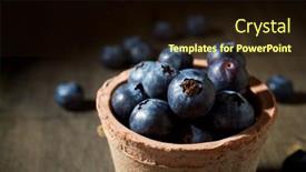  Presentation with blueberries - Presentation design enhanced with close-up-of-a-blueberries background and a wine colored foreground