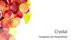  Presentation with grapevine - PPT layouts with close-up of a bunch of grapes on grapevine in vineyard shallow dof background and a white colored foreground