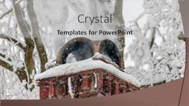 Presentation with winter - Presentation consisting of close-up-of-a-chimney background and a  colored foreground