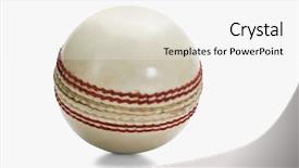  Presentation with cricket - PPT theme featuring close-up of a cricket background and a white colored foreground