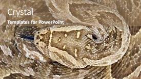  Presentation with close up puff pastry - Presentation featuring close-up-of-a-curled background and a coral colored foreground