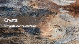  Presentation with tree - Amazing slide set having up of a dead tree backdrop and a gray colored foreground