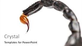  Presentation with drop - Slide deck enhanced with close-up-of-a-drop background and a white colored foreground