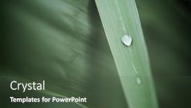  Presentation with water drop - Slide set having close-up-of-a-drop background and a tawny brown colored foreground