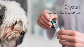  Presentation with injection - Cool new presentation theme with close-up-of-a-female backdrop and a light gray colored foreground