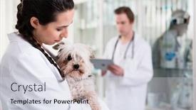  Presentation with female - Beautiful slide set featuring close-up-of-a-female backdrop and a sky blue colored foreground